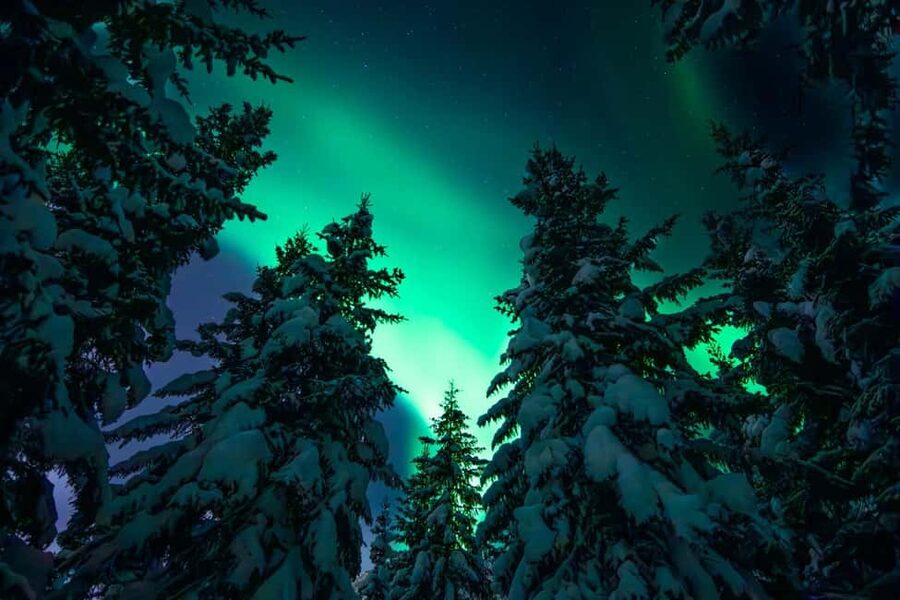 Tromsø: Northern Lights Hunt with a Professional Photographer in Spanish - A quick reality check