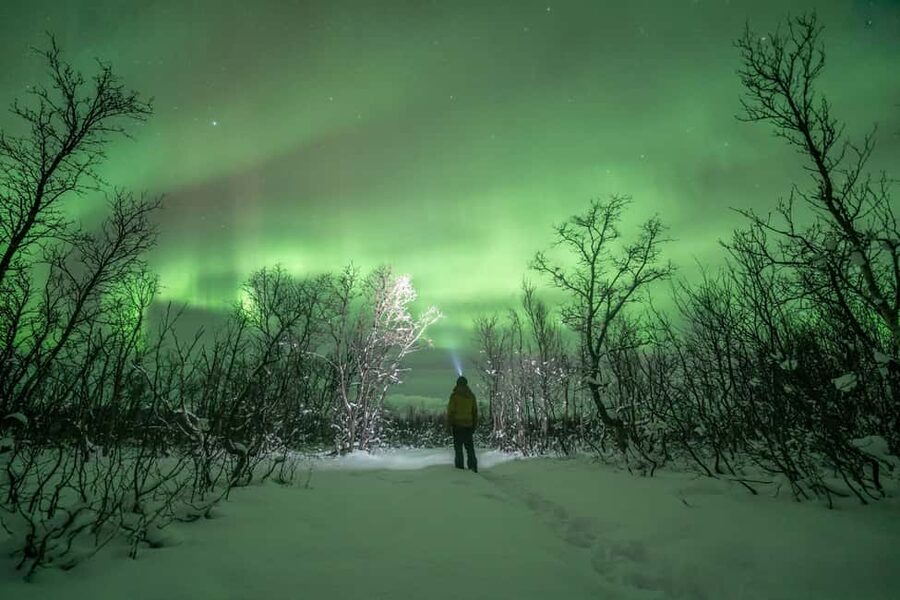 Tromsø: Northern Lights Hunt with Photos and Hot Food - Logistics you should plan for: toilets, water, and timing swings