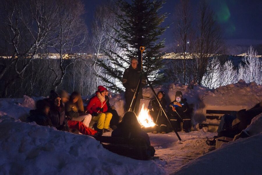 Tromsø: Northern Lights Husky Visit with Traditional Dinner - Key things to know before you go