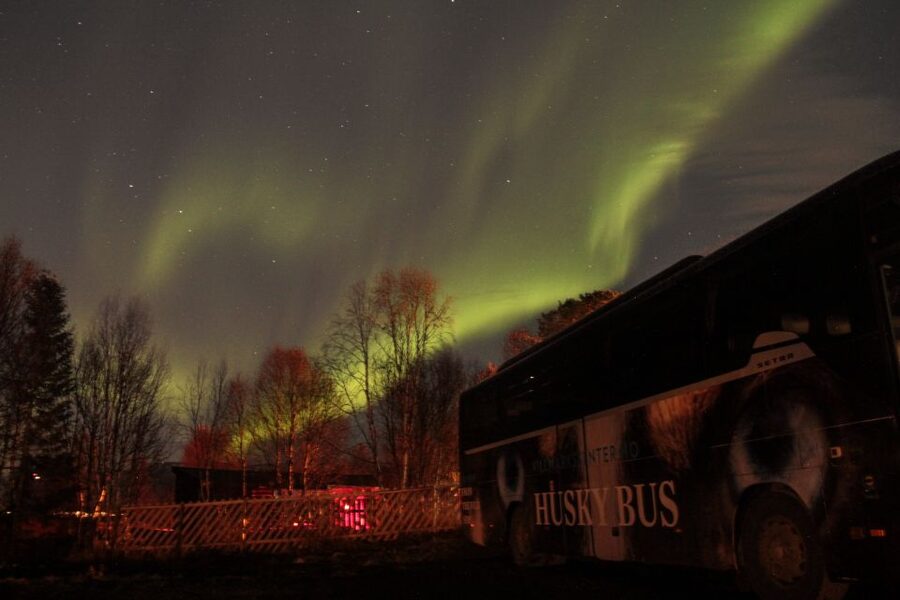 Tromsø: Northern Lights Husky Visit with Traditional Dinner - Bacalao dinner by the fire: why Norwegian stockfish matters