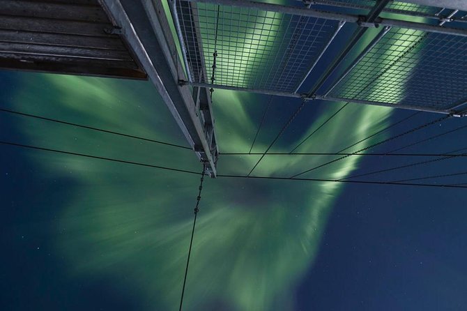 Tromso Northern Lights Minibus Chase Small Group Tour with Photos - Tromsø at night: why this aurora hunt feels different