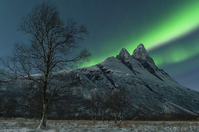 Tromso Northern Lights Minibus Chase Small Group Tour with Photos - Price and value: what $210.53 is buying you