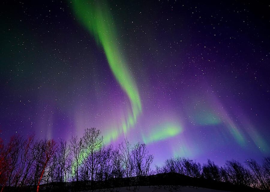 Tromso: Northern Lights Minibus Tour with Campfire - Key highlights to look for