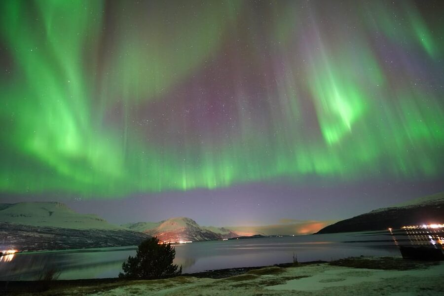 Tromso: Northern Lights Minibus Tour with Campfire - Tromsø’s Minibus Aurora Chase: how the night actually plays out