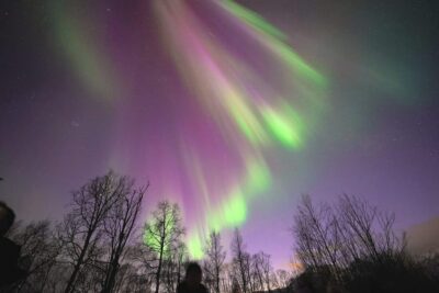 Tromso: Northern Lights Minibus Tour with Campfire - The warm break that makes the cold night worth it: campfire food and hot drinks