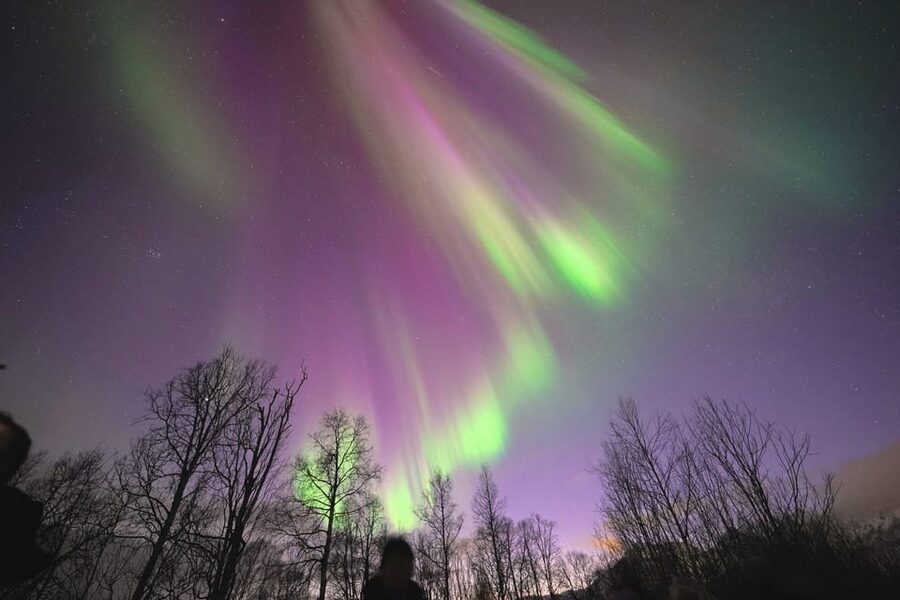 Tromso: Northern Lights Minibus Tour with Campfire - The warm break that makes the cold night worth it: campfire food and hot drinks