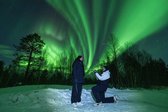 Tromsø: Northern Lights Minibus Tour with Expert Guides - Key things I’d lock in before you go