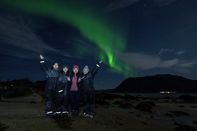 Tromsø: Northern Lights Minibus Tour with Expert Guides - Chasing the aurora: multiple stops are the whole point