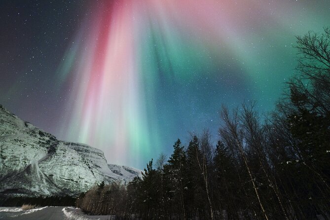 Tromsø: Northern Lights Minibus Tour with Expert Guides - Price and value: what $139.98 covers (and what it doesn’t)