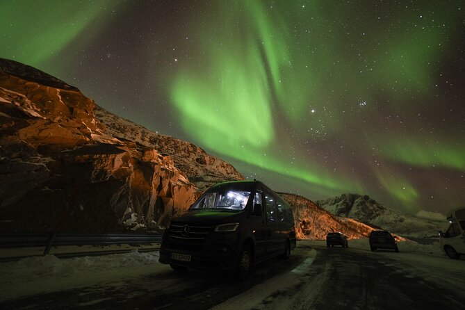Tromsø: Northern Lights Minibus Tour with Expert Guides - Weather reality check: when forecasts show trouble