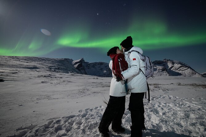 Tromsø: Northern Lights Minibus Tour with Expert Guides - The guide and driver factor: why it can feel personal