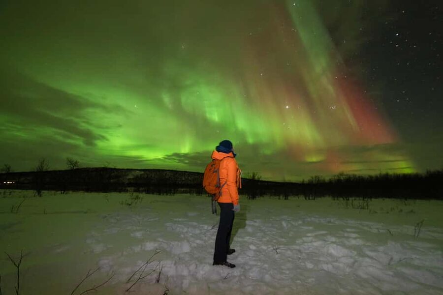 Tromsø: Northern Lights Minibus Tour with Local Experts - Your 6-hour rhythm: how the night unfolds in real time