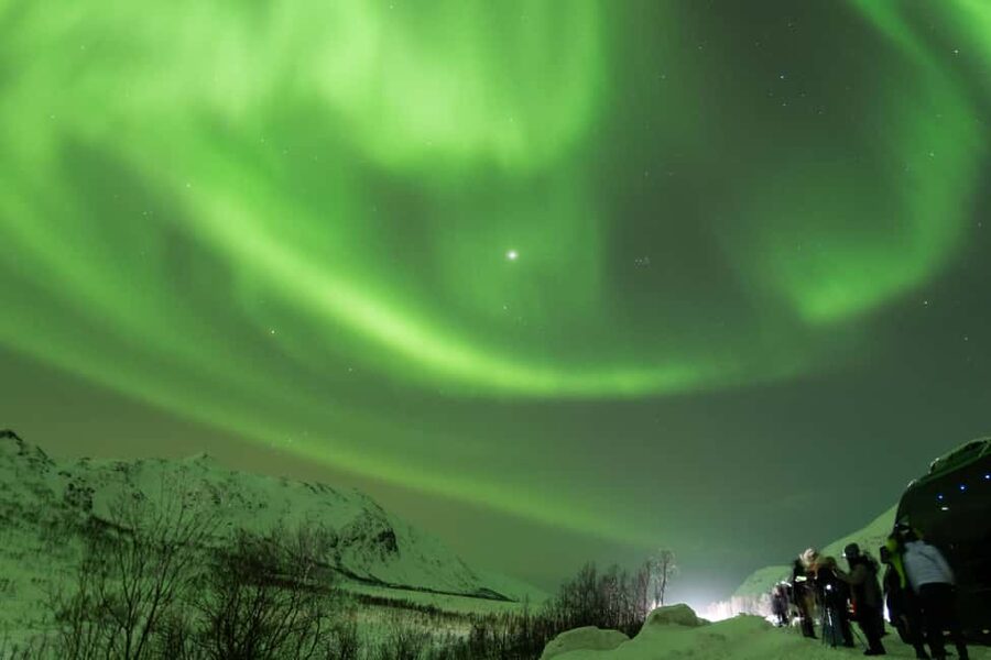 Tromsø: Northern Lights Minibus Tour with Local Experts - Thermal suits and warm drinks: why the included comfort kit matters
