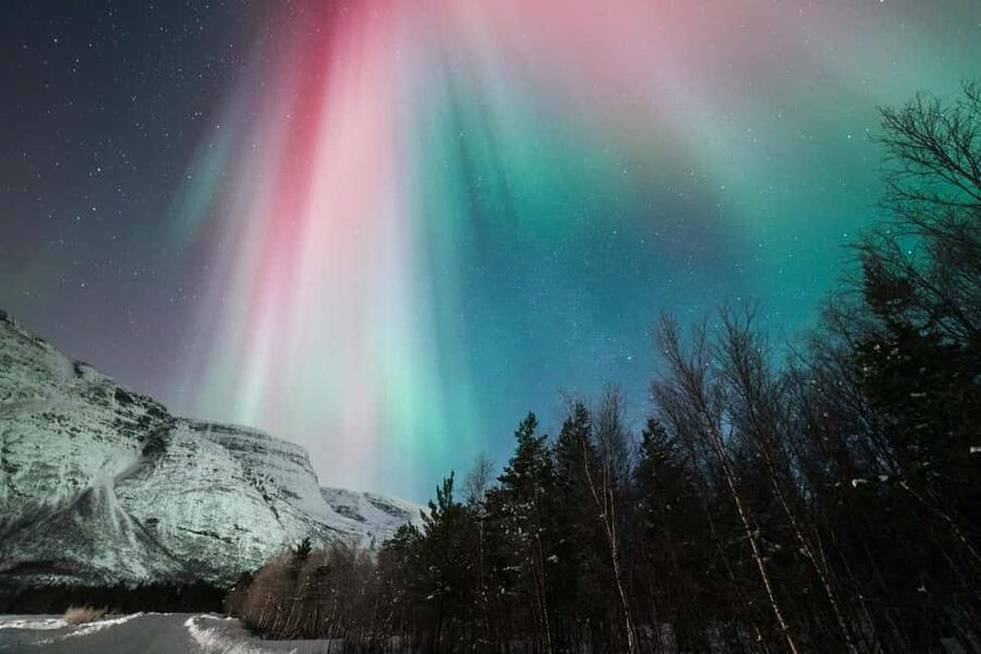 Tromsø: Northern Lights Minibus Tour with Local Experts - The aurora photo service: what you’re paying for beyond the drive
