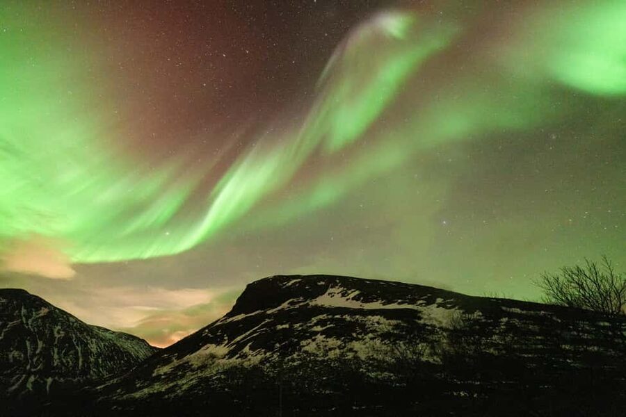 Tromsø: Northern Lights Minibus Tour with Local Experts - Who this tour is best for (and who should rethink it)