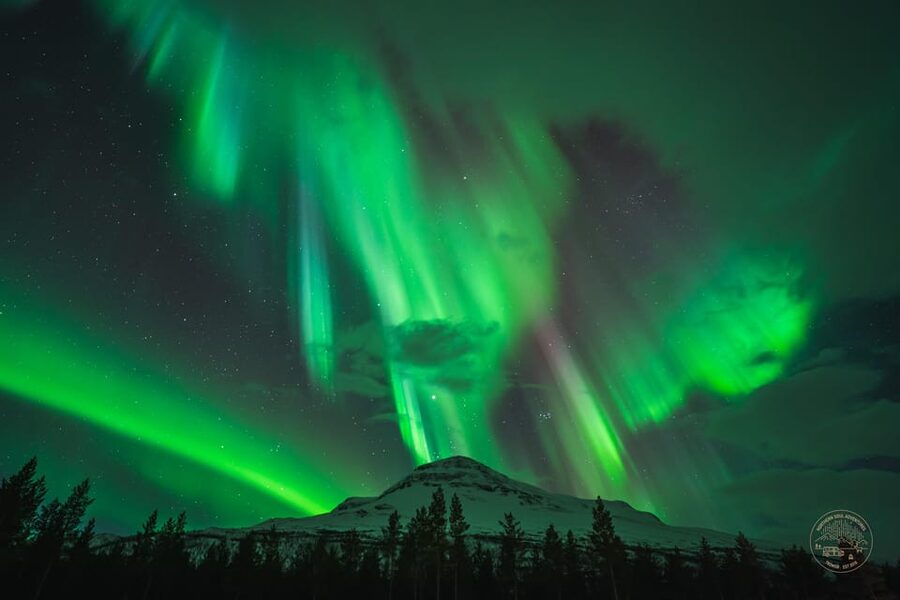 Tromsø: Northern Lights Photography Small-Group Tour - Meet at Tromsø Havn, Then Get Wrapped Up for the Arctic Night