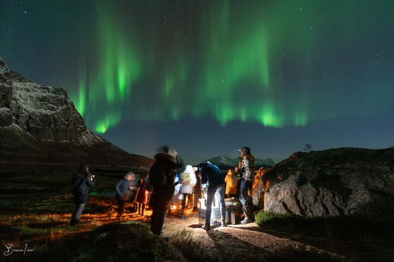 Tromsø: Northern Lights Safari - Aurora Hunting in Tromsø: A Safari That’s Built for Results