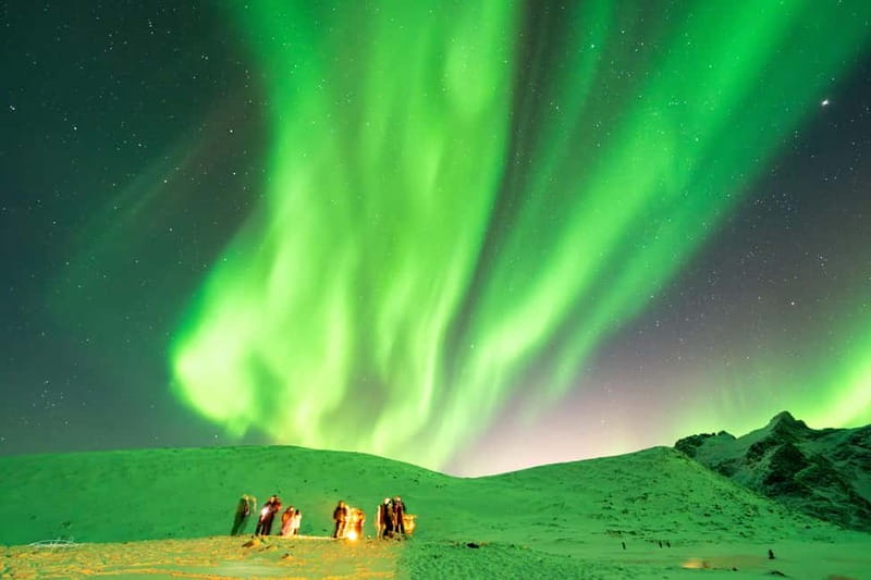 Tromsø: Northern Lights Safari - Timing, Duration, and the Reality of Weather