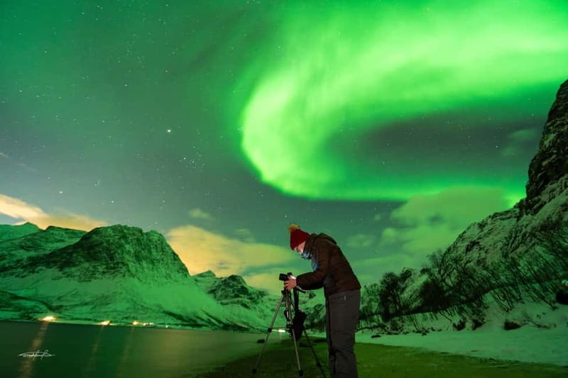 Tromsø: Northern Lights Safari - Price and Value: Is $146 Worth It?