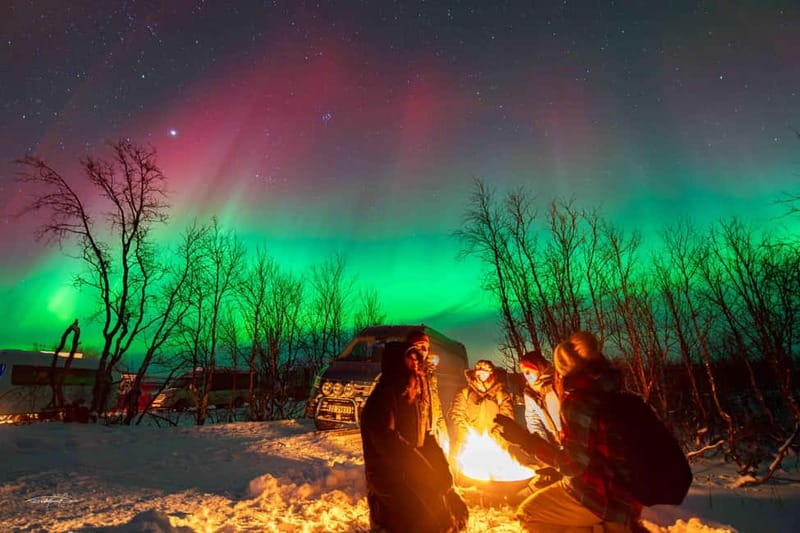 Tromsø: Northern Lights Safari - Who Should Book This Northern Lights Safari?