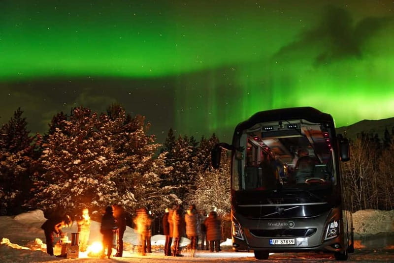 Tromsø: Northern Lights Safari with Expert Guides and Photos - Who this safari fits best (and who should rethink it)