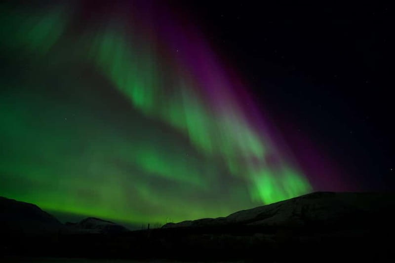 Tromsø: Northern Lights Tour - Price and Value: What $206 Covers in the Arctic Night Hunt