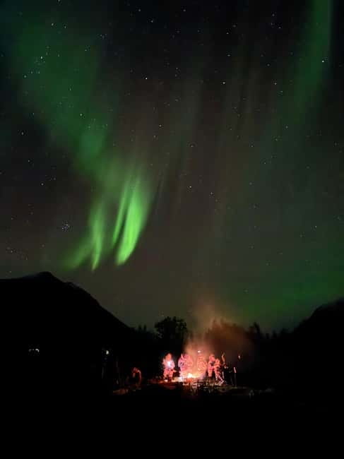 Tromsø: Northern Lights Tour - Should You Book This Tromsø Northern Lights Tour?
