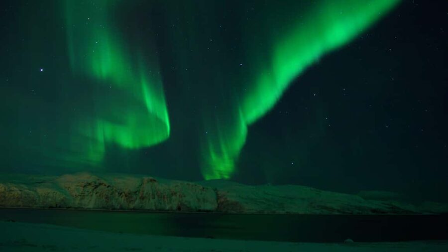 Tromsø: Northern Lights Tour in Glass Minibus with Dinner - Key things I’d bet on before you book