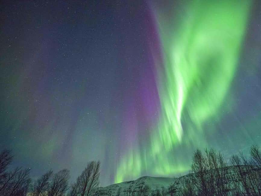 Tromsø: Northern Lights Tour in Glass Minibus with Dinner - A heated glass-roof bus that turns waiting into viewing