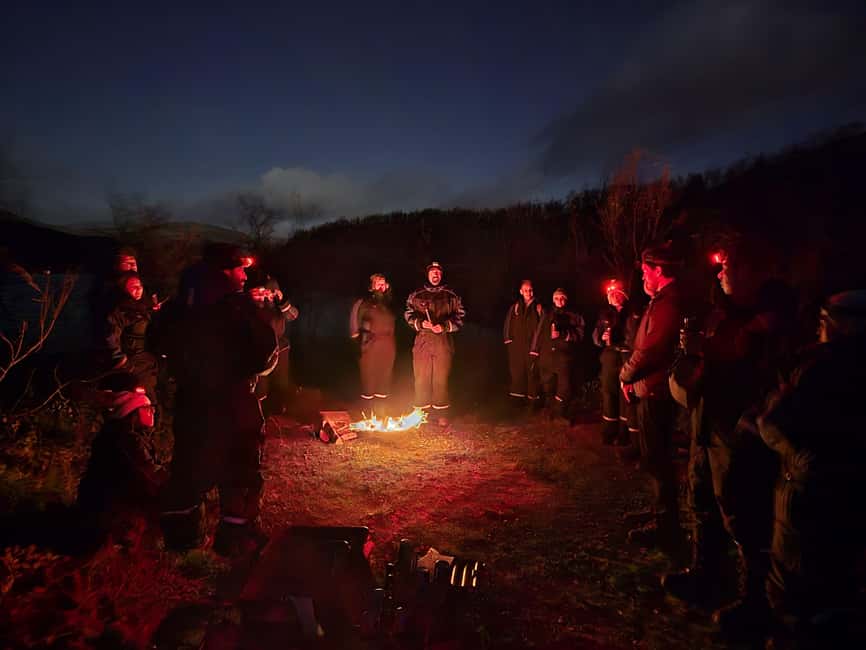 Tromsø: Northern Lights Tour in Glass Minibus with Dinner - The guided stop with fire, hot drinks, and a proper dinner