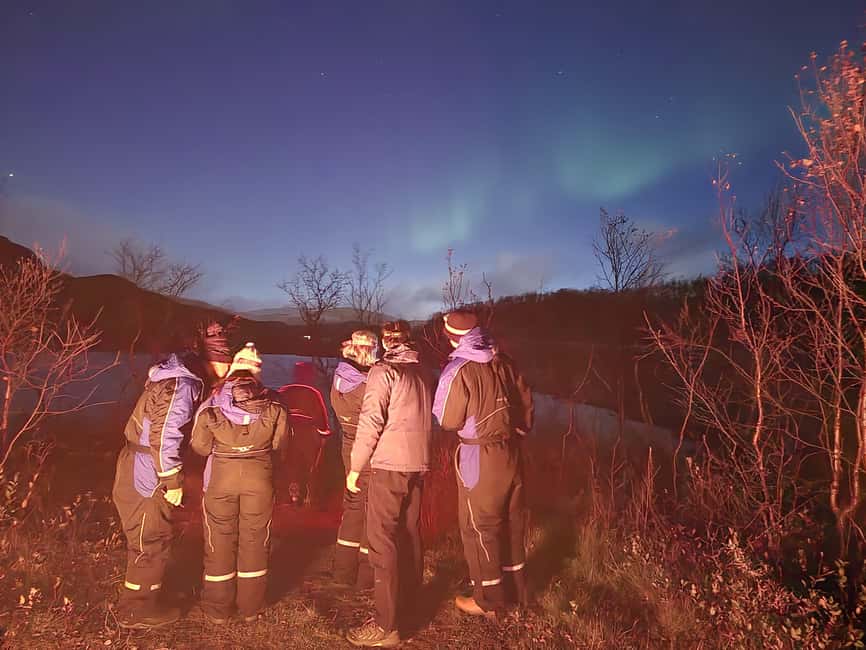 Tromsø: Northern Lights Tour in Glass Minibus with Dinner - How the tour handles your camera (and your nerves)