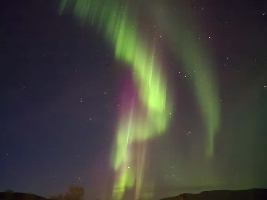 Tromsø: Northern Lights Tour in Glass Minibus with Dinner - Price and value: $131 for a full package, not just a bus ride