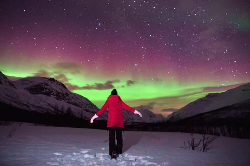 Tromsø: Northern Lights Tour (Max 8) Pickup + Finland - Key takeaways before you book