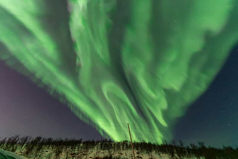 Tromsø: Northern Lights Tour w/Photo, Suits and Local Guide - The Real Hook: A Local Aurora Chase That Also Feeds You