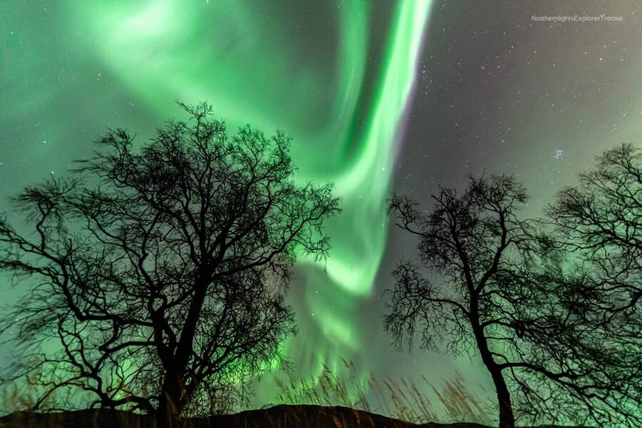 Tromsø: Northern Lights Tour w/Photo, Suits and Local Guide - Warm Suits, Hot Drinks, and the Night’s Fuel Plan