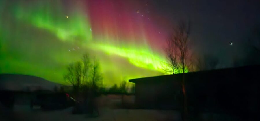 Tromsø: Northern Lights Tour with Campfire - Key highlights to look for
