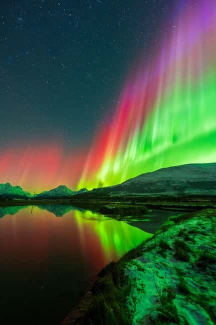 Tromsø: Northern Lights Tour with Campfire - Price and what you get for $241