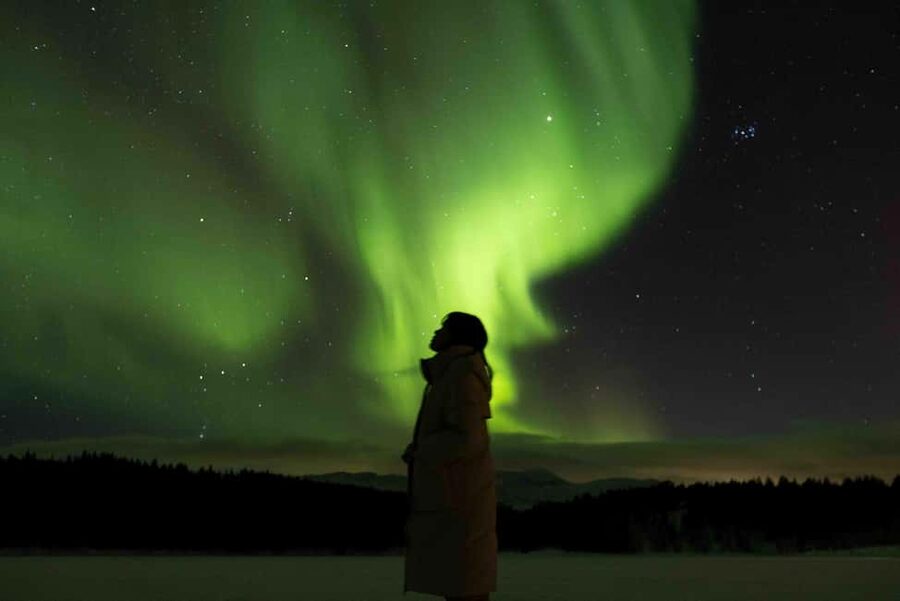 Tromsø: Northern Lights Tour with Dinner and Native Guide - The 4x4 transfers and the short walk away from the roads
