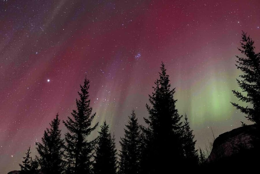 Tromsø: Northern Lights Tour with Dinner and Native Guide - The long main waiting stop: warm camp vibes plus serious sky time