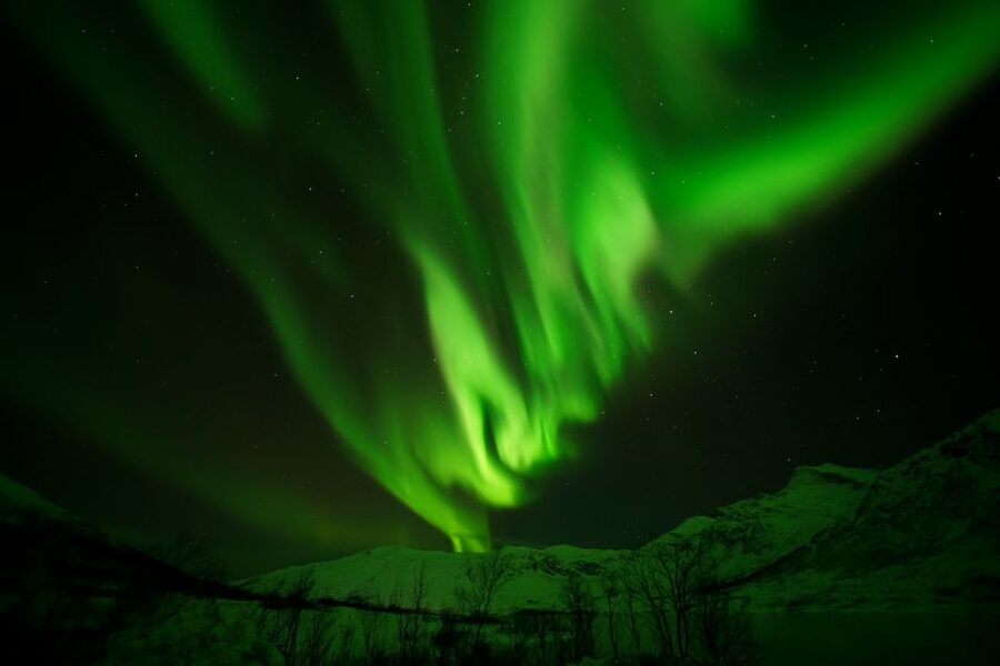 Tromsø: Northern Lights Tour with Free Professional Portrait - Northern lights photography tips that actually help