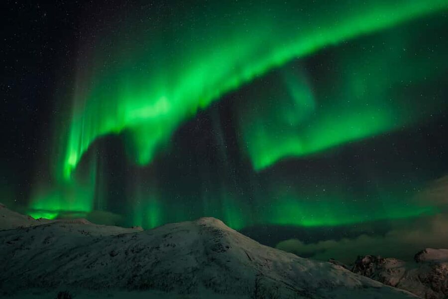 Tromsø: Northern Lights Tour with Guaranteed Sightings - Staying Warm, Staying Patient, Staying Safe