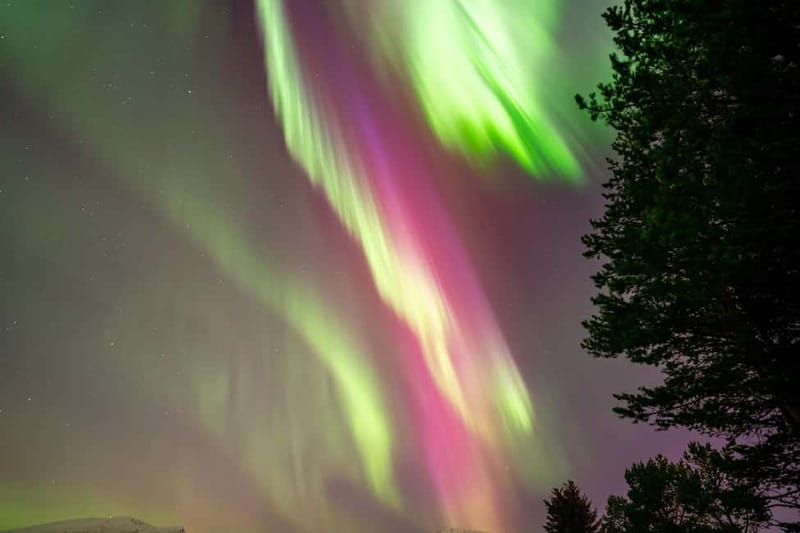 Tromsø: Northern Lights Tour with Hot Drinks and Snacks - Why This Tromsø Aurora Tour Feels More Like a Plan Than Luck