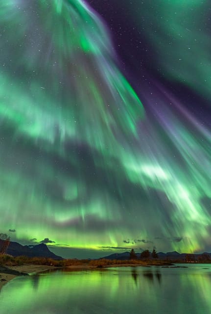 Tromsø: Northern Lights Tour with Local Guide and Photos - Key moments that make this Tromsø aurora tour worth your time