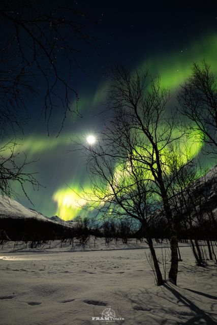 Tromso: Northern Lights Tour with Photographer - Guides who keep it fun, not robotic