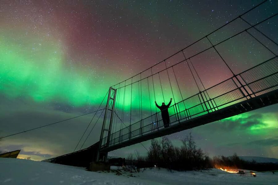 Tromsø: Northern Lights Tour with Photos, Hot Meal & Drinks - Key highlights worth your attention