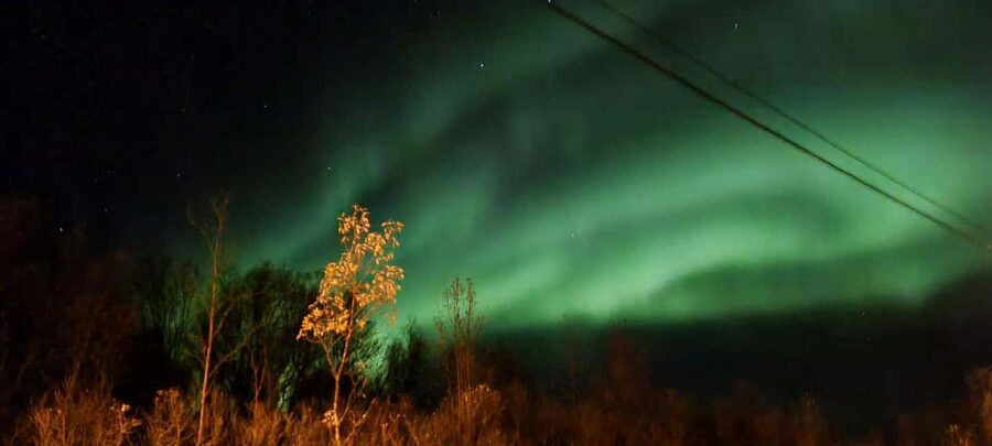 Tromsø: Northern Lights Tour with Photos & Snacks - Key Things I’d Watch For on This Tromsø Aurora Tour