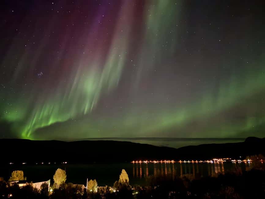 Tromsø: Northern Lights Tour with Photos & Snacks - Campfire Warmth: Hot Drinks, Snacks, and the Comfort Factor