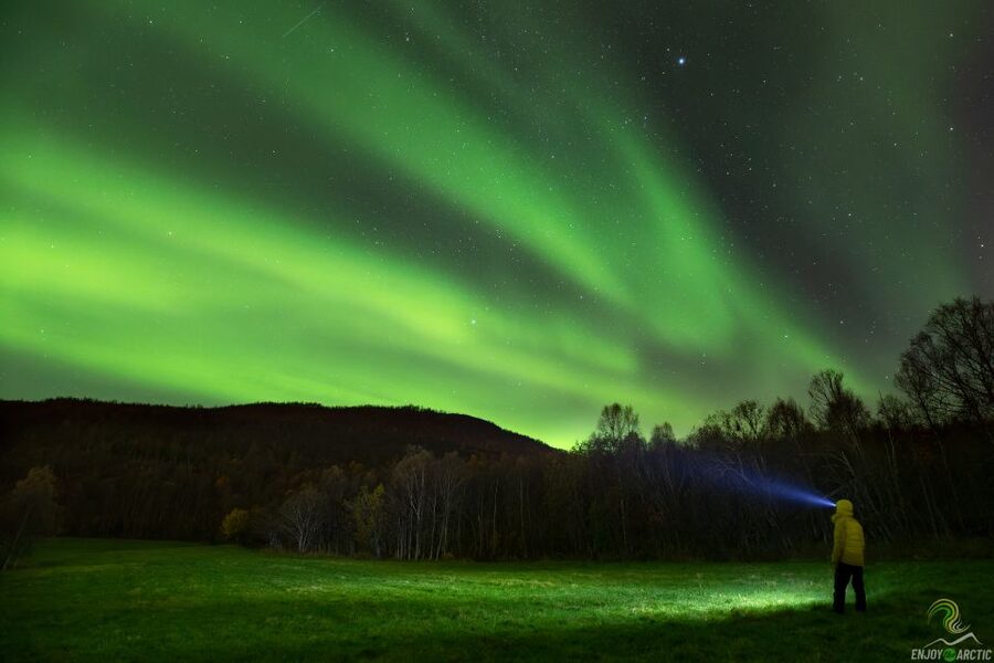 Tromsø: Northern Lights Trip with Campfire and Snacks - Key things I’d watch for before you book