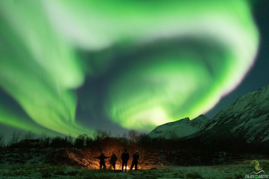Tromsø: Northern Lights Trip with Campfire and Snacks - Lappland-style night waiting: camping chairs, two fires, and warm drinks