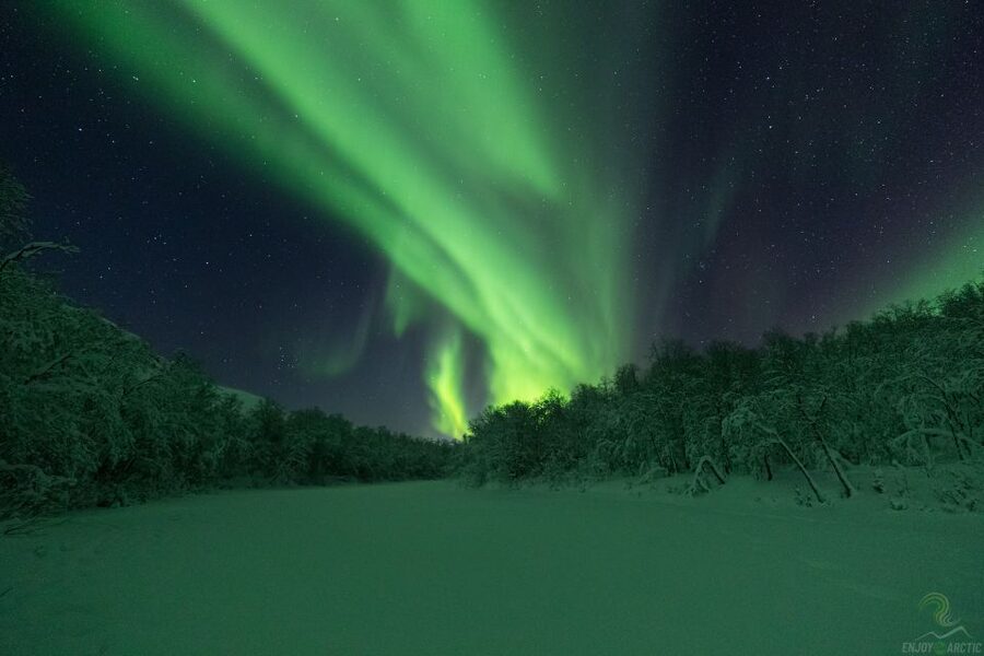 Tromsø: Northern Lights Trip with Campfire and Snacks - Walking with a lantern: seeing the Arctic dark without rushing